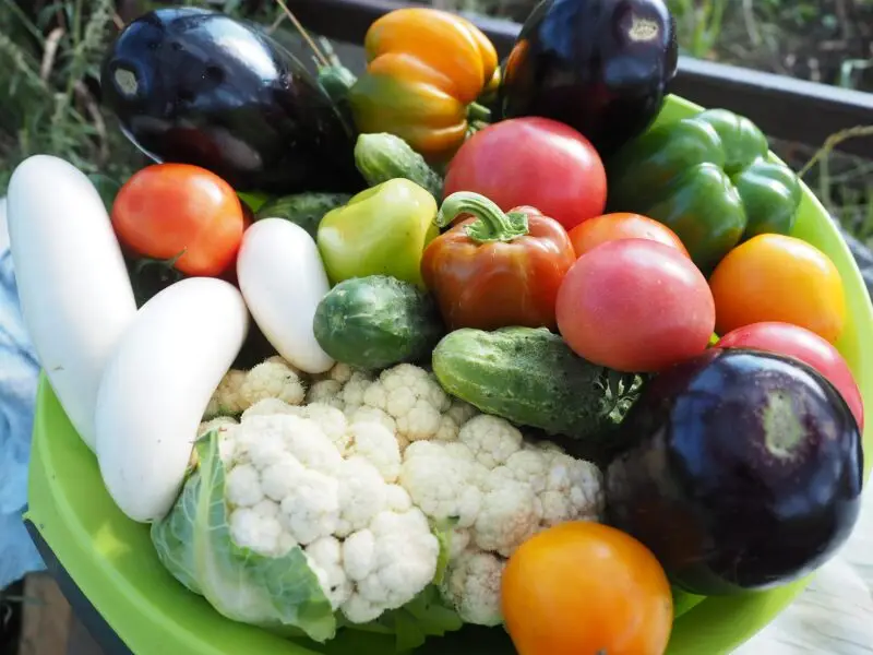 Imagen destacada del post 7 consejos para conservar las frutas y verduras en verano