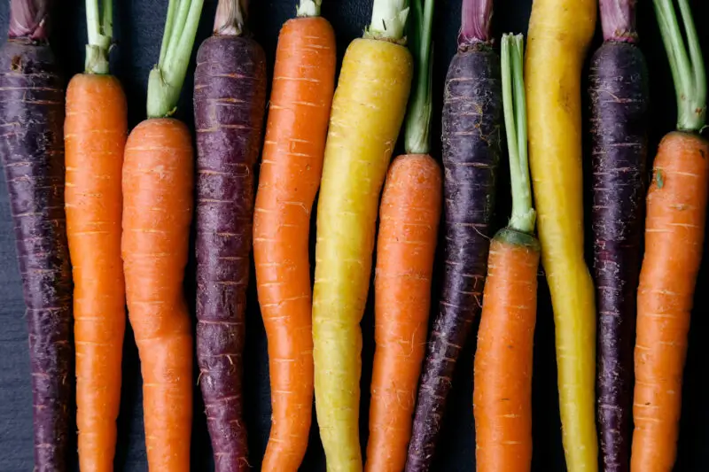 Imagen del post "Zanahoria morada y otras curiosidades de la zanahoria" del blog de Frutas Olivar