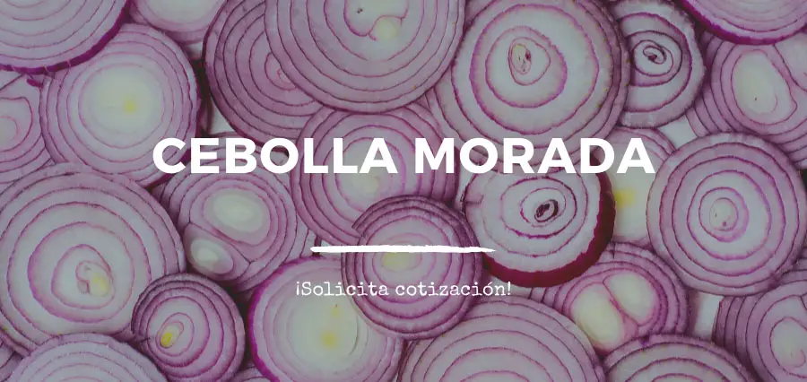 cotización cebolla morada