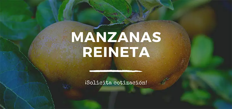 haz tu pedido de manzana reineta