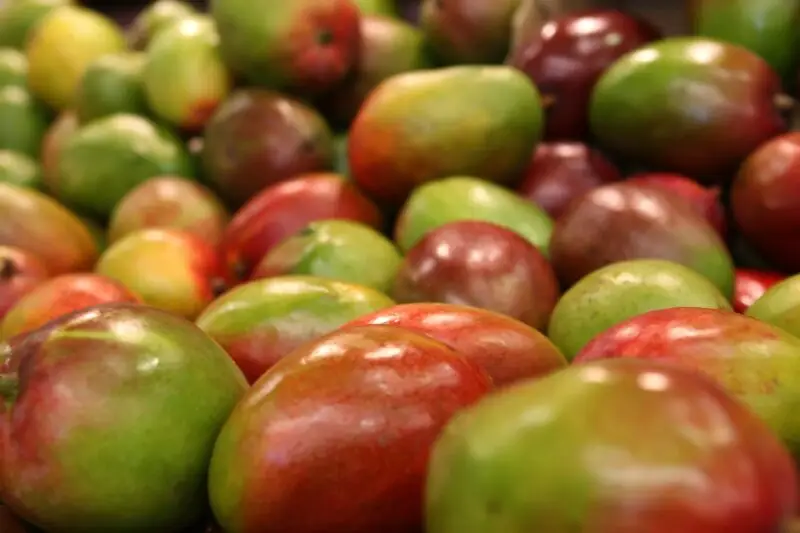 Imagen correspondiente al post sobre propiedades del mango y sus beneficios de Frutas Olivar