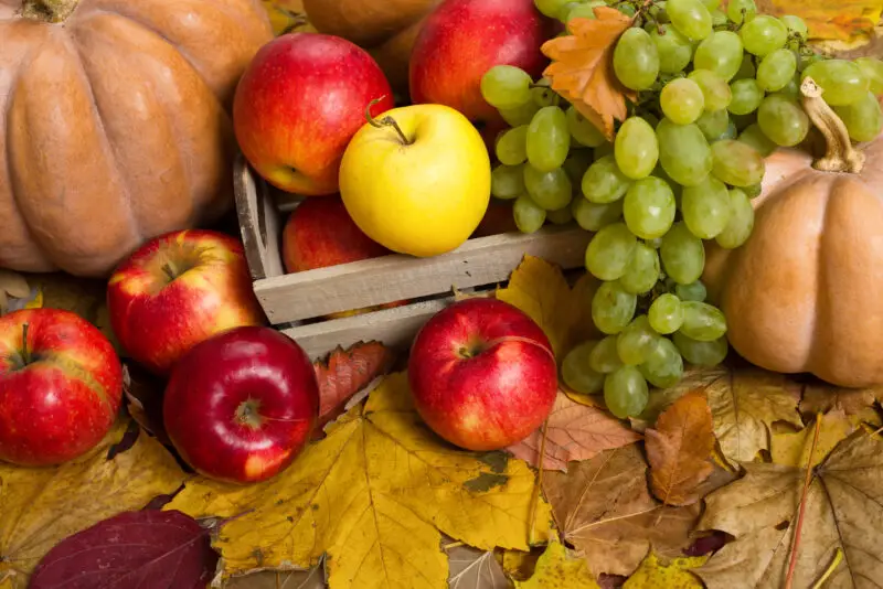 frutas y verduras de temporada octubre