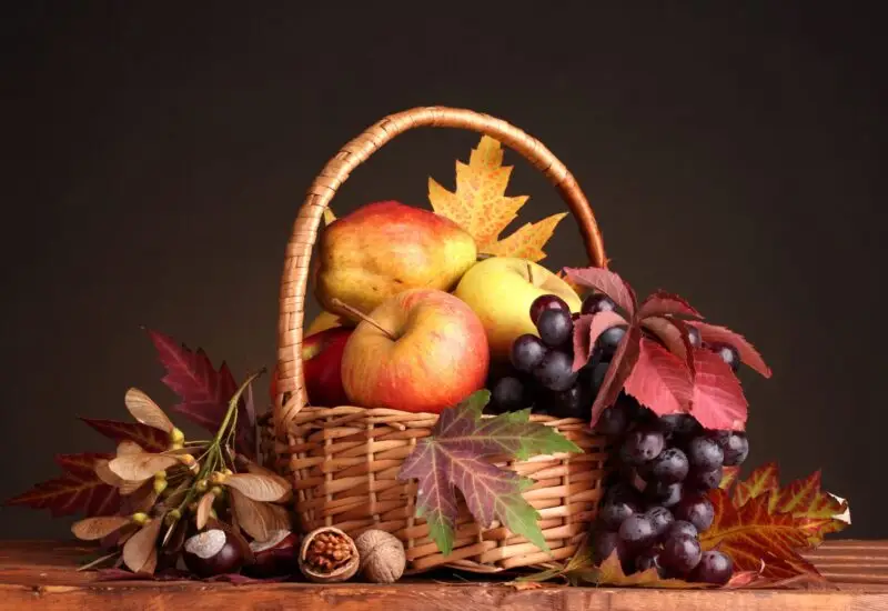 Frutas y verduras de noviembre