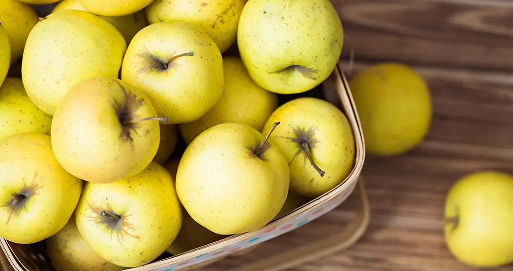 Tipos de manzanas amarillas