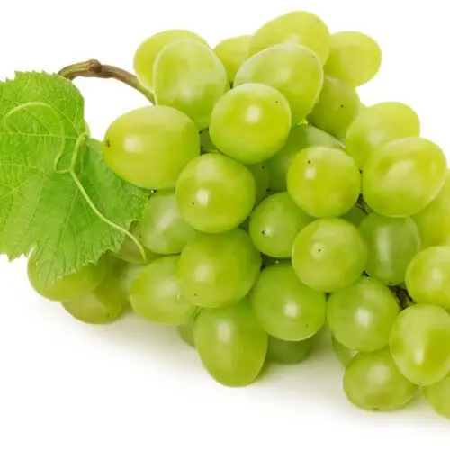 uva verde