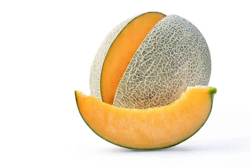 tipo de melon cantalupo