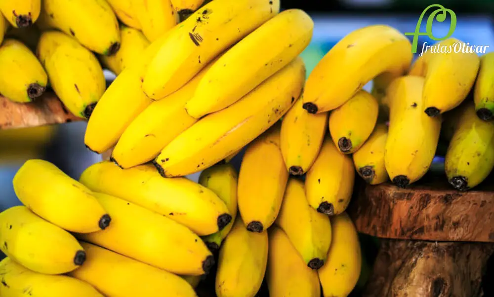 Plátano de Canarias ¿qué lo hace tan especial?