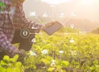 4 claves de la digitalización de la agricultura